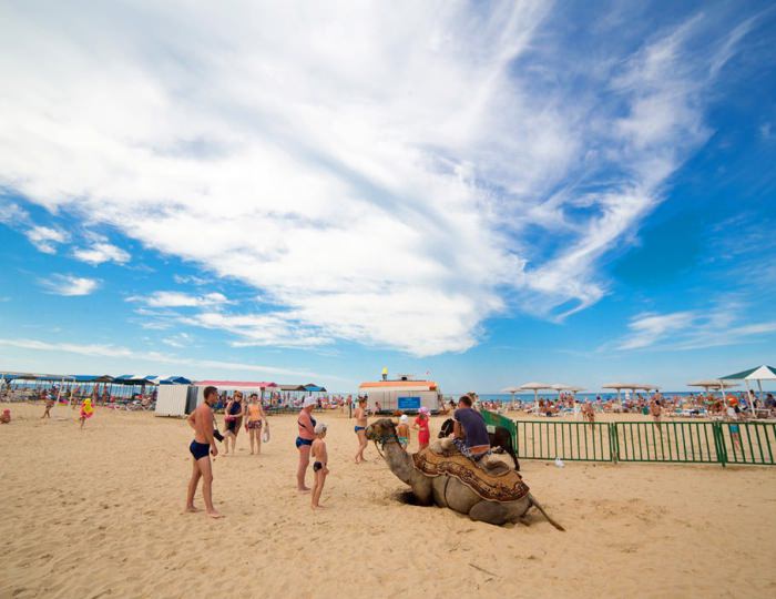 Море и пляж - Пансионат «Одиссея»